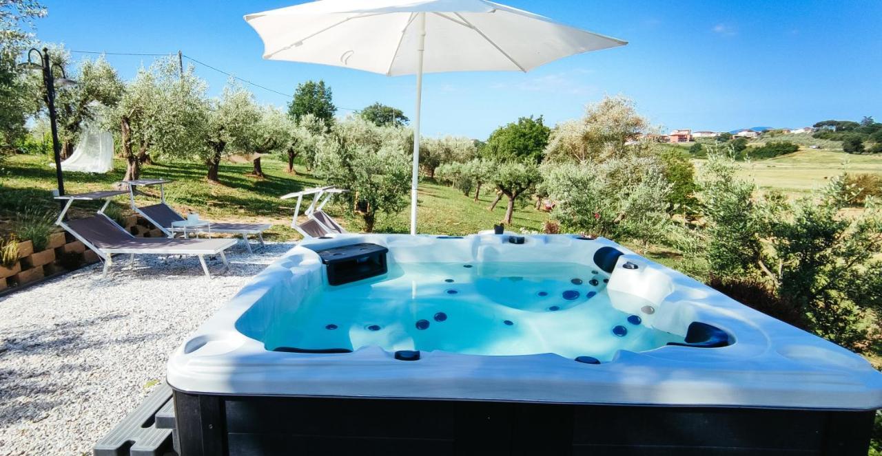 The Olive Grove In Tuscany Toiano Zewnętrze zdjęcie